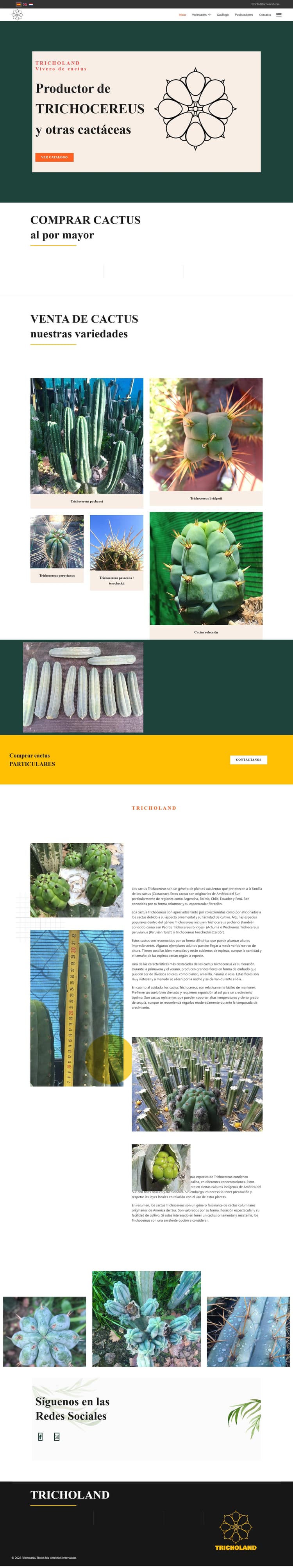 Tricholand: Web Multiidioma para Vivero Especializado B2B - imagen 2